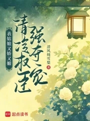 活泼公主和清冷自持权臣的小说